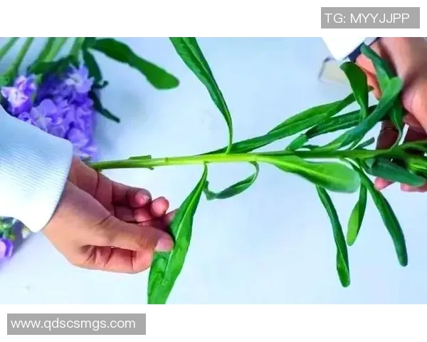 足球球星折射卡解析与收藏价值探讨全面指南